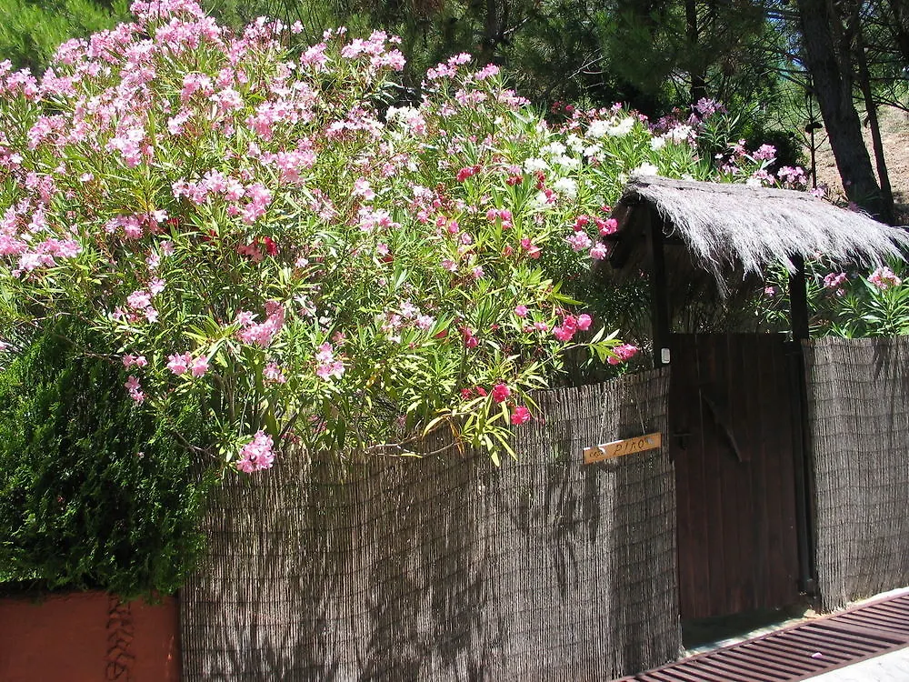 Ddg Retreat Hotel Casares Resort